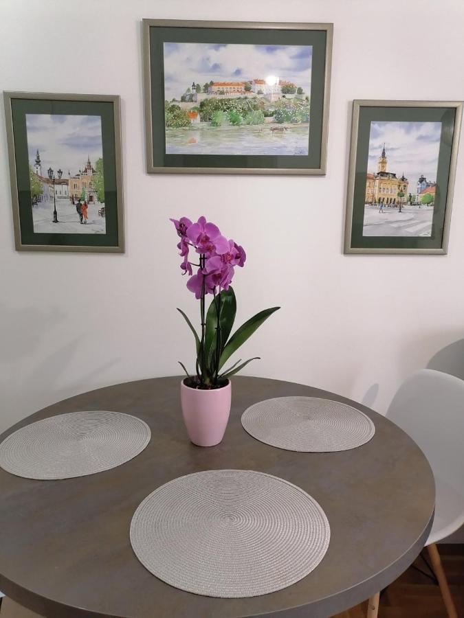 Appartamento Carmen Deluxe Novi Sad Esterno foto